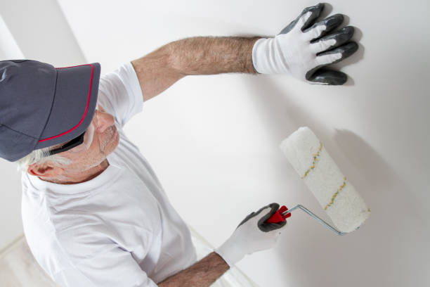 Best Wallpaper Removal and Painting  in Hampstead, NC