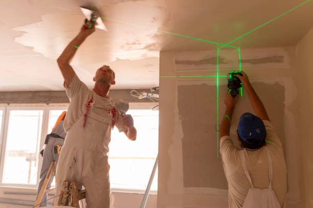 Best Ceiling Drywall Installation  in Hampstead, NC